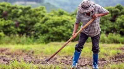 Farmers Suffer from Power Outages