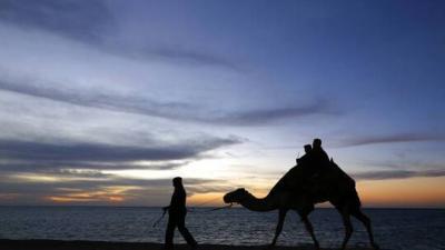 Title: Cold Weather in Saudi Arabia Freezes Tears in Camels' Eyes