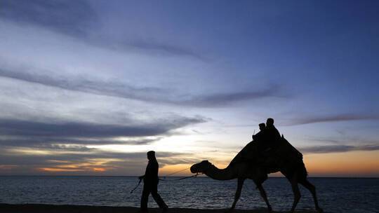Title: Cold Weather in Saudi Arabia Freezes Tears in Camels' Eyes