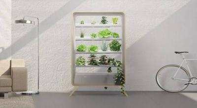 Indoor Vertical Aeroponic Garden for Soil-less Plant Cultivation