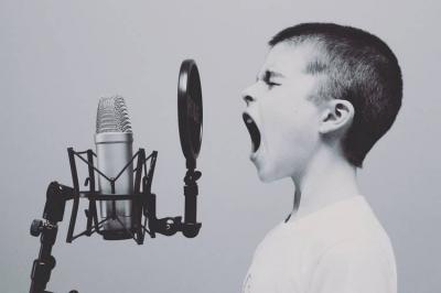 Does Your Voice Reveal Your Personality Traits?