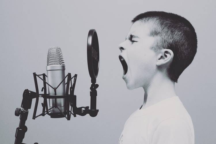Does Your Voice Reveal Your Personality Traits?