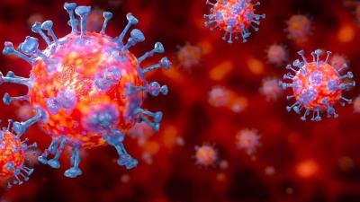 Japan Announces Discovery of a New Strain of Coronavirus
