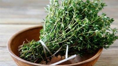 Title: Thyme Herb Leads to Fatal Accident