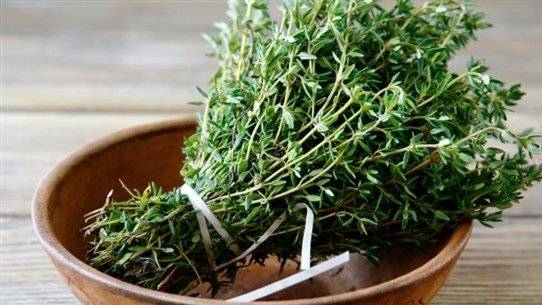 Title: Thyme Herb Leads to Fatal Accident