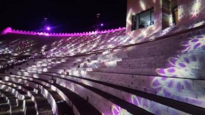 Cancellation of "Singing" at Babel Festival Sparks Widespread Controversy: What’s the Secret?