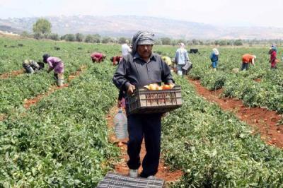 Title: Farmers to Escalate Protests by Discarding Their Produce