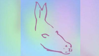 Logical or Creative: Define Your Personality Through This Image!