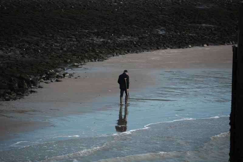 Physical Activity Reduces Mortality in the Elderly
