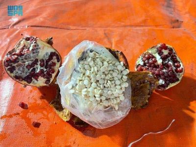 Saudi Decision on Lebanese Fruits After Drug Trafficking Arrest
