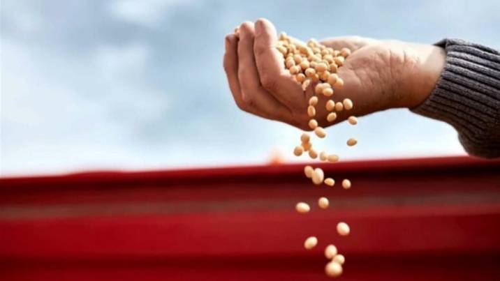 Arab Countries Face Climate and Food Threats