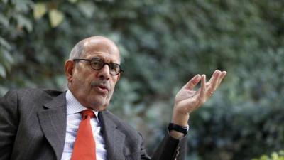 ElBaradei Proposes Arab Meeting with Putin