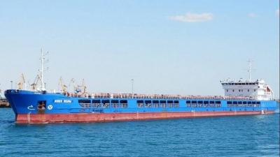 Russian Foreign Ministry: Turkey Did Not Detain Russian Ship