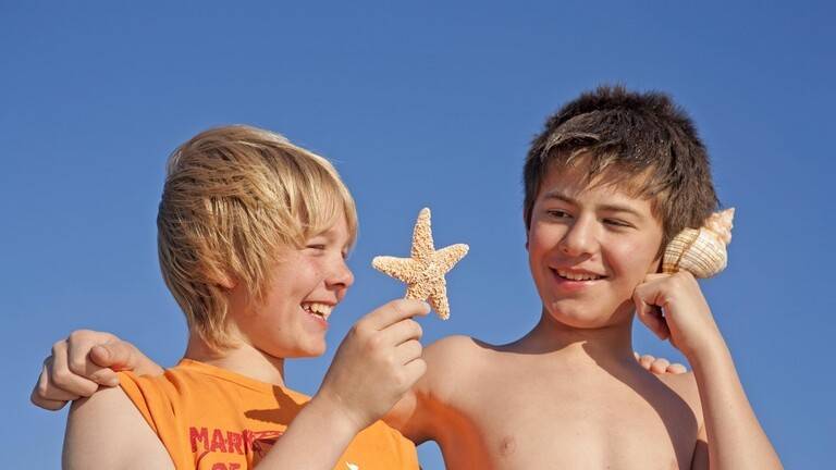 Why Do We Hear the Sound of the Sea or Ocean When We Put a Shell to Our Ear?