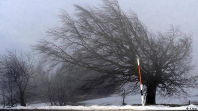 Storm Eunice: Eight People Killed in Britain and Across Europe