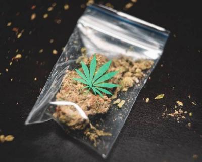 Removal of Instagram Celebrity Who Bragged About Smoking Hashish Cigarette