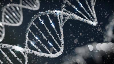 Breakthrough News: Discovery of a Gene That Resists Lung Cancer