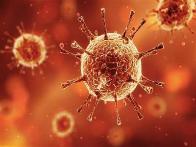 The British Strain of Coronavirus Reaches Russia