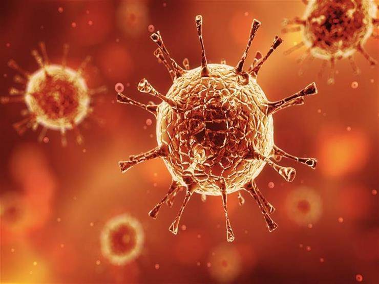 The British Strain of Coronavirus Reaches Russia