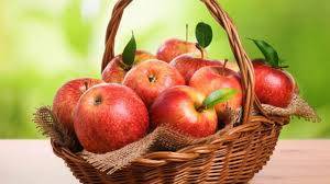 Regenerative Brain Cells and Enhanced Memory: Benefits Found in Certain Fruits