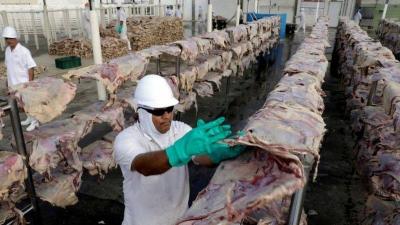 Washington: "Group Linked to Russia" Behind Attack on World's Largest Meat Company