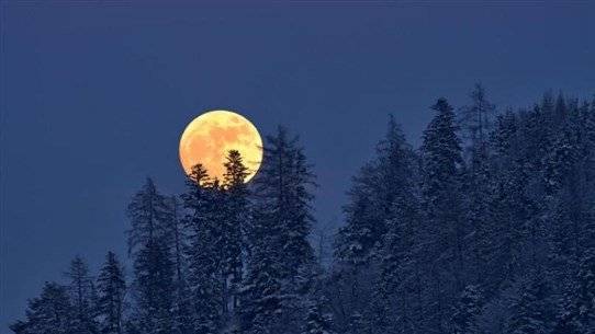 The Last Supermoon of This Year in a Few Days