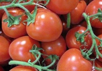 What is the Reason for the Rise in Tomato Prices?