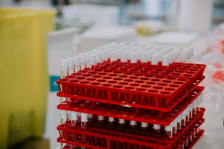 Pfizer Announces Timeline for COVID-19 Treatment Production
