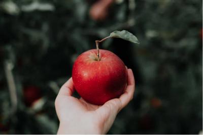 Incredible Benefits of a Single Apple: Even Helps Eliminate Belly Fat