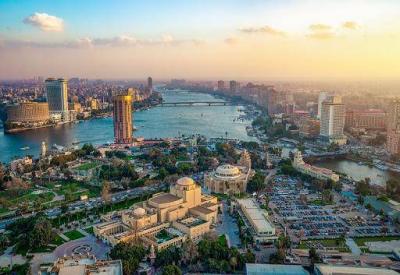 "Strange" Animal Causes Panic in Egypt