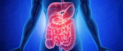 New Test for Rapid Detection of Severe Bowel Inflammation