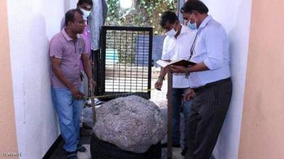 Lucky Discovery: "Treasure" Found by Chance in His Garden