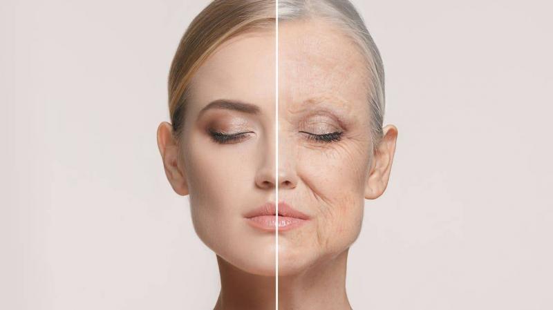 Information That Concerns You: A Little Food Slows Down Aging