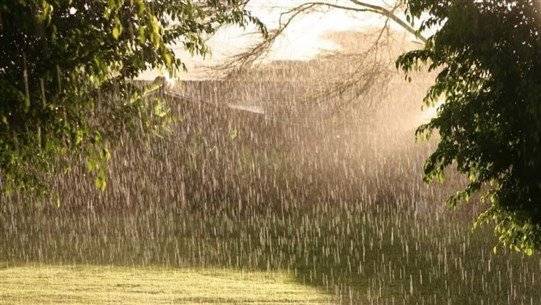 Rain Will Not Leave Us... Expect It This Weekend!