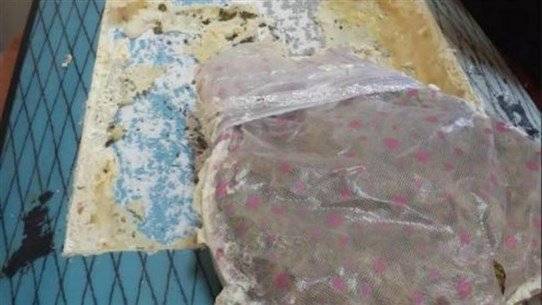5 kg of Marijuana Almost Shipped from Lebanon to Europe