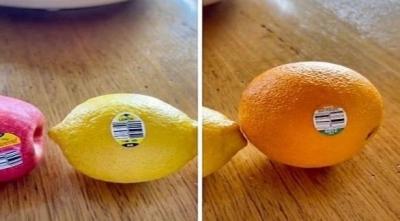 The Secret Behind Code Labels on Fruits