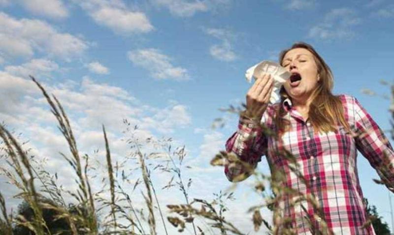 Tips for Dealing with Seasonal Allergies
