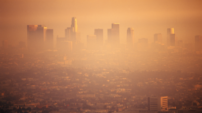 Experts Warn: Climate Change Causes Baldness!