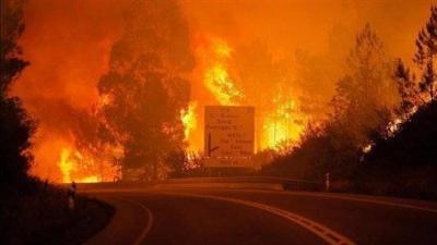 More Than 3,000 Firefighters and Over 60 Aircraft to Combat Fires in Portugal