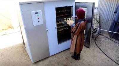 Young Woman in Gaza Innovates Food Drying Device