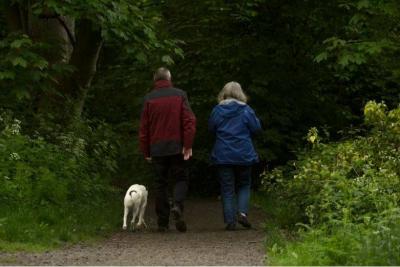Personality and Satisfaction: How Does Your Character Affect Your Happiness After Retirement?
