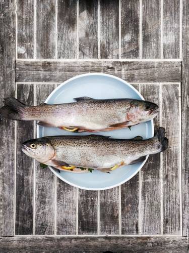 Not Regularly Eating Oily Fish May Shorten Lifespan More Than Smoking