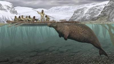 Human Behavior Affects Animal Movement and Threatens Their Survival