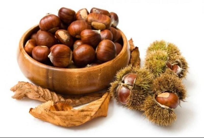 The Numerous Benefits of Chestnuts: Including Digestive Aid and Cancer Protection