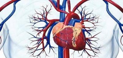 Discover the Most Chronic Inflammation-Causing Foods in the Body