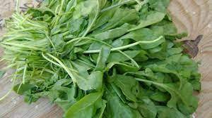 5 Benefits That Place Arugula at the Top of the Golden Foods List