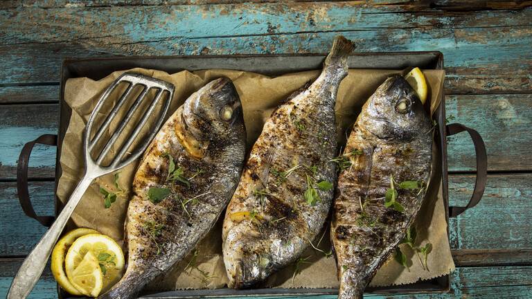 Substance in Fish May Increase Alzheimer's Risk