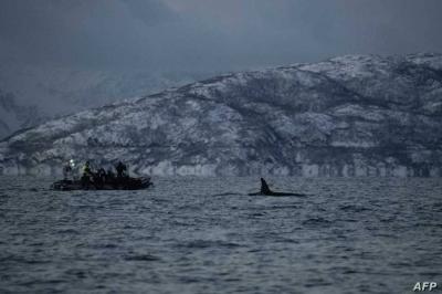 Title: France Identifies Victims of English Channel Tragedy