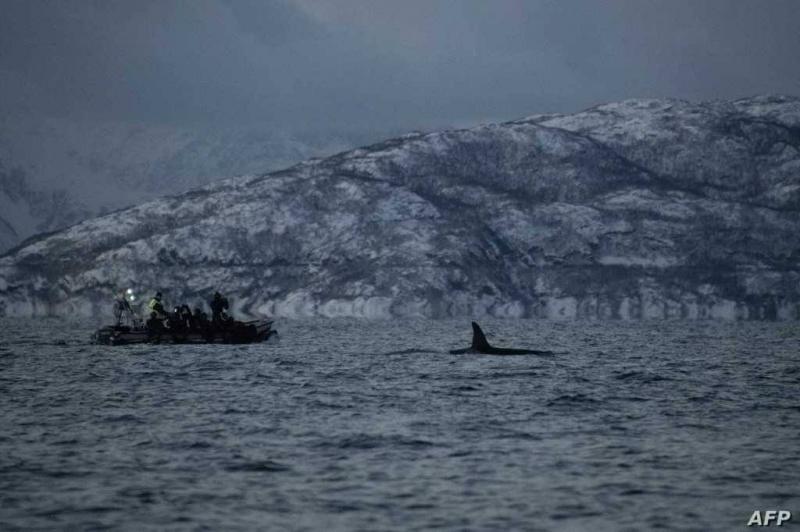 Title: France Identifies Victims of English Channel Tragedy
