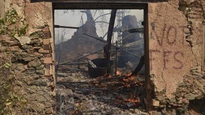 Title: Algeria: Criminal Act Behind the Fires, Locations Selected Precisely